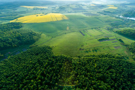 Amazing aerial view of spring forestの写真素材