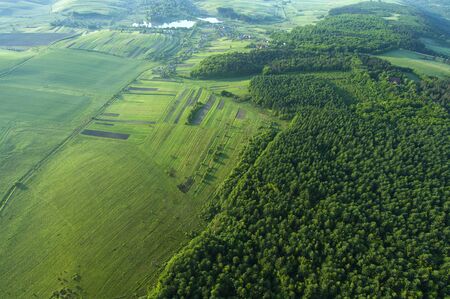 Amazing aerial view of spring forestの写真素材