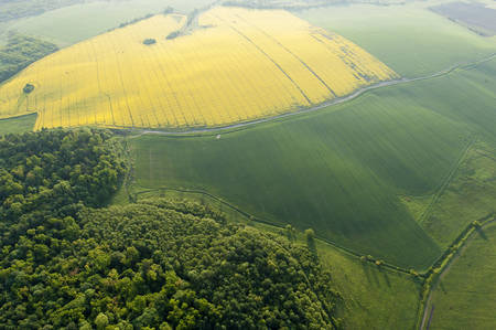 Amazing aerial view of yellow fieldsの写真素材