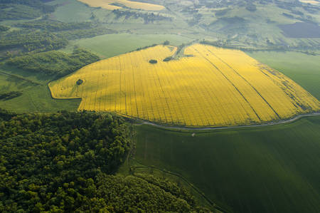 Amazing aerial view of yellow fieldsの写真素材