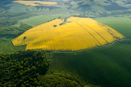 Amazing aerial view of yellow fieldsの写真素材