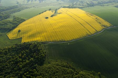 Amazing aerial view of yellow fieldsの写真素材