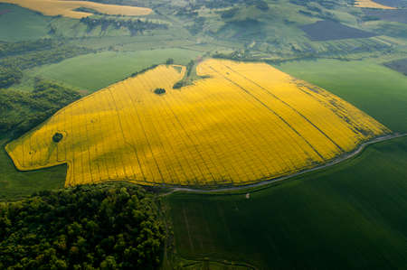 Amazing aerial view of yellow fieldsの写真素材