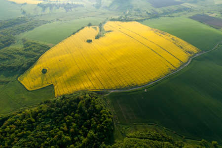 Amazing aerial view of yellow fieldsの写真素材