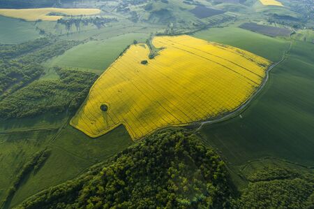 Amazing aerial view of yellow fieldsの写真素材