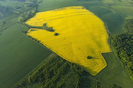 Amazing aerial view of yellow fieldsの写真素材