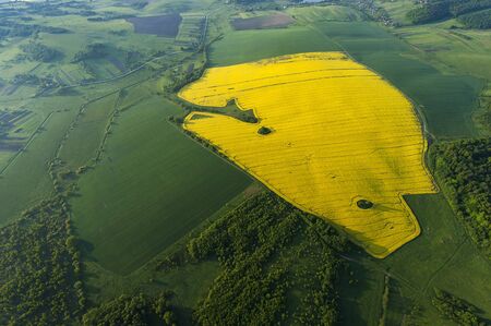 Amazing aerial view of yellow fieldsの写真素材