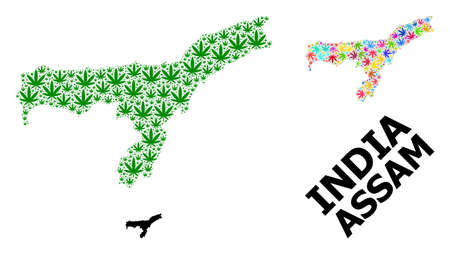 Vector marijuana mosaic and solid map of Assam State. Map of Assam State vector mosaic for marijuana legalize campaign. Map of Assam State is formed from green and colored marijuana leaves.のイラスト素材