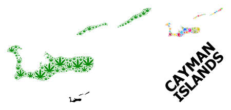 Vector weed mosaic and solid map of Cayman Islands. Map of Cayman Islands vector mosaic for weed legalize campaign. Map of Cayman Islands is composed with green and colorful weed leaves.のイラスト素材