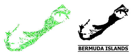 Drugs mosaic and usual map of Bermuda Islands. Vector map of Bermuda Islands is created of randomized inoculation icons, herb and alcoholic bottles.のイラスト素材