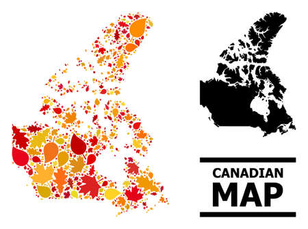 Mosaic autumn leaves and solid map of Canada. Vector map of Canada is designed from random autumn maple and oak leaves. Abstract geographic scheme in bright gold, red, brown colors for map of Canada.のイラスト素材