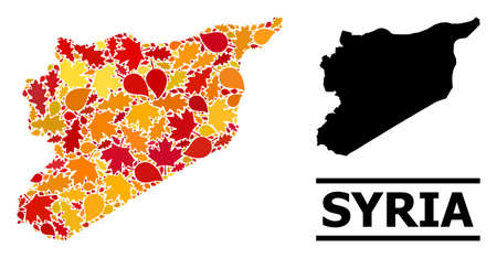 Mosaic autumn leaves and usual map of Syria. Vector map of Syria is constructed of random autumn maple and oak leaves. Abstract geographic plan in bright gold, red, brown colors for map of Syria.のイラスト素材