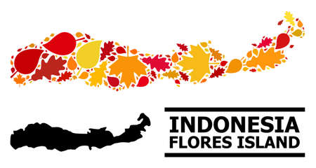Mosaic autumn leaves and solid map of Indonesia - Flores Island. Vector map of Indonesia - Flores Island is done with scattered autumn maple and oak leaves. Abstract territorial plan in bright gold,のイラスト素材