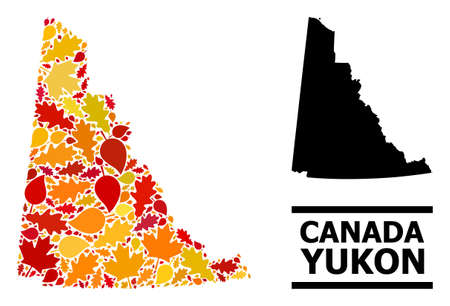 Mosaic autumn leaves and solid map of Yukon Province. Vector map of Yukon Province is constructed from randomized autumn maple and oak leaves. Abstract territorial scheme in bright gold, red,のイラスト素材
