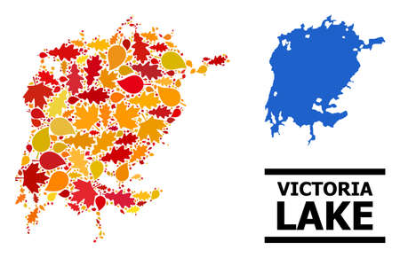 Mosaic autumn leaves and usual map of Victoria Lake. Vector map of Victoria Lake is done from scattered autumn maple and oak leaves. Abstract geographic scheme in bright gold, red,のイラスト素材