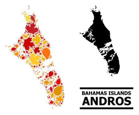 Mosaic autumn leaves and usual map of Bahamas - Andros Island. Vector map of Bahamas - Andros Island is composed from scattered autumn maple and oak leaves. Abstract territorial scheme in bright gold,のイラスト素材