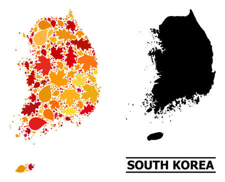 Mosaic autumn leaves and solid map of South Korea. Vector map of South Korea is done of randomized autumn maple and oak leaves. Abstract territory plan in bright gold, red,のイラスト素材