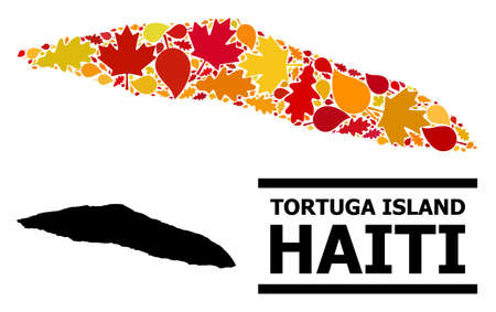 Mosaic autumn leaves and usual map of Haiti Tortuga Island. Vector map of Haiti Tortuga Island is designed of random autumn maple and oak leaves. Abstract territorial scheme in bright gold, red,のイラスト素材
