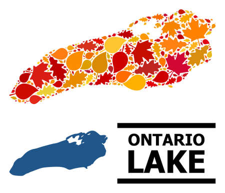 Mosaic autumn leaves and usual map of Ontario Lake. Vector map of Ontario Lake is made of randomized autumn maple and oak leaves. Abstract geographic plan in bright gold, red,のイラスト素材