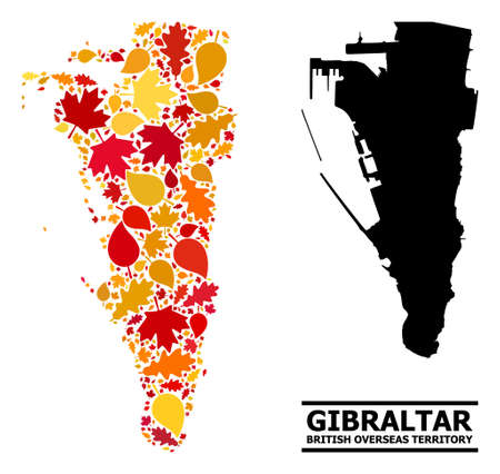Mosaic autumn leaves and solid map of Gibraltar. Vector map of Gibraltar is made with randomized autumn maple and oak leaves. Abstract territorial plan in bright gold, red,のイラスト素材