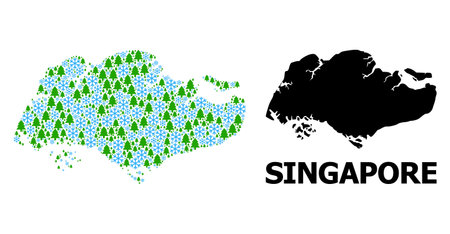 Vector collage map of Singapore constructed for New Year, Christmas, and winter. Mosaic map of Singapore is designed from snowflakes and fir trees.のイラスト素材