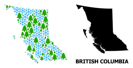 Vector collage map of British Columbia Province organized for New Year, Christmas, and winter. Mosaic map of British Columbia Province is organized of snow flakes and fir forest.のイラスト素材