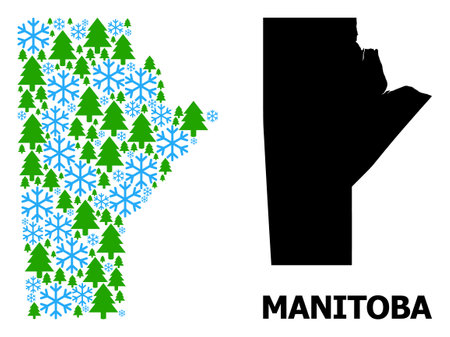 Vector mosaic map of Manitoba Province done for New Year, Christmas, and winter. Mosaic map of Manitoba Province is created of snowflakes and fir forest.のイラスト素材