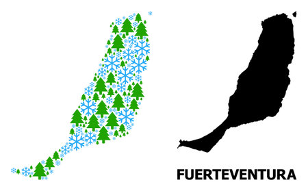 Vector mosaic map of Fuerteventura Island constructed for New Year, Christmas, and winter. Mosaic map of Fuerteventura Island is designed from snow flakes and fir trees.のイラスト素材