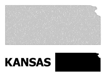 Polygonal mesh map of Kansas State in high detail resolution. Mesh lines, triangles and dots form map of Kansas State.のイラスト素材