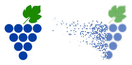 Dispersed dot grapes bunch vector icon with wind effect, and original vector image. Pixel dissolving...