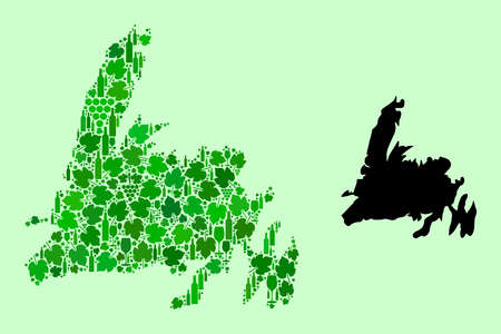 Vector Map of Newfoundland Island. Mosaic of green grapes, wine bottles. Map of Newfoundland Island mosaic designed from bottles, berries, green leaves. Abstract mosaic designed for bars agitprop.のイラスト素材
