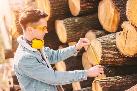 Woodcutter in protective glasses and headphones check size of cut tree logs with measure tape at...