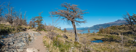 Torres del Paine National Park, Chile, Patagonia, Autumnの写真素材