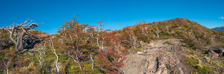 Torres del Paine National Park, Chile, Patagonia, Autumnの写真素材