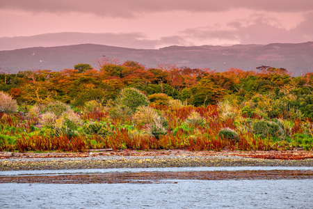 Gorgeous landscape of Patagonia's Tierra del Fuego National Park in Autumn, 2017の写真素材