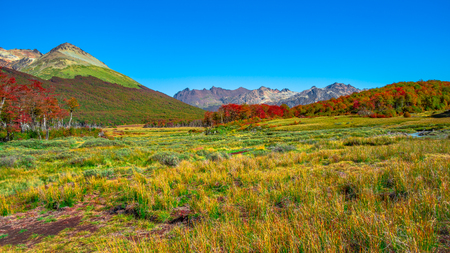 Gorgeous landscape of Patagonia's Tierra del Fuego National Park in Autumn, Argentinaの写真素材