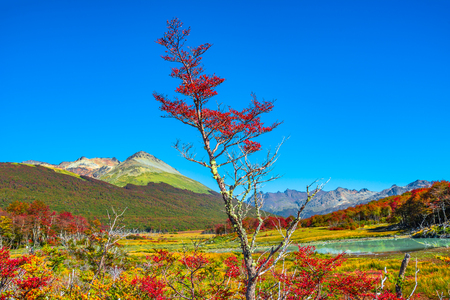 Gorgeous landscape of Patagonia's Tierra del Fuego National Park in Autumn, Argentinaの写真素材