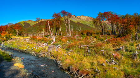 Gorgeous landscape of Patagonia's Tierra del Fuego National Park in Autumn, Argentinaの写真素材
