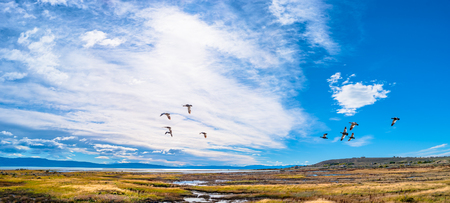 Landscape view from Calafate, a town in Patagonia, Argentina, Autumnの写真素材