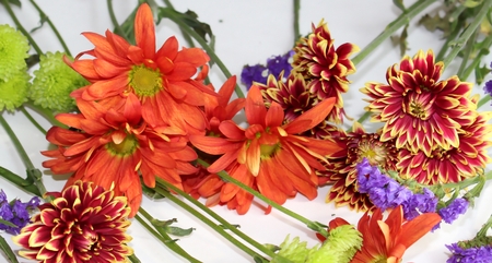 Bunch of flowers on white backgroundの写真素材