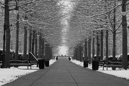 Snow covered parkwayの写真素材