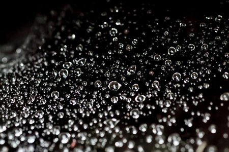 Macrophotography of rain drops on a spider web.