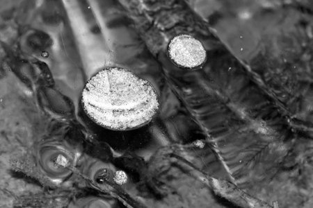 Monochrome photo of patterns in the ice on a lake with frost circles.の写真素材