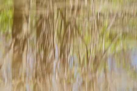Abstract tree lined landscape reflected in the water