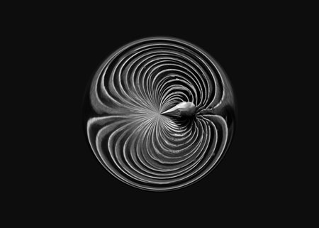 Abstract black and white background resembling the cross section of a seed or nut.の写真素材