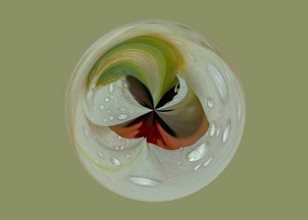 abstract background with a white and orange daffodil flower covered in rain dropsの写真素材