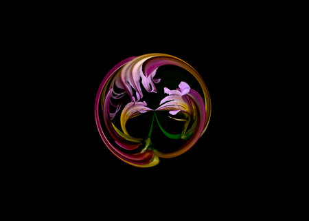 Purple floral abstract fractal on a black background. design element for postcardsの写真素材