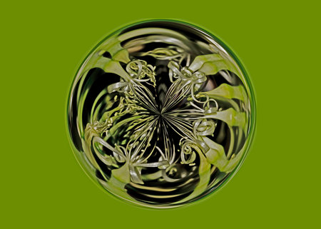 Macro closeup of fractal snake plant flower, digital artwork for creative graphic designの写真素材
