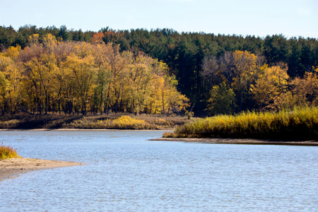Autumn foliage at the lake on a fall day in Iowa.の写真素材