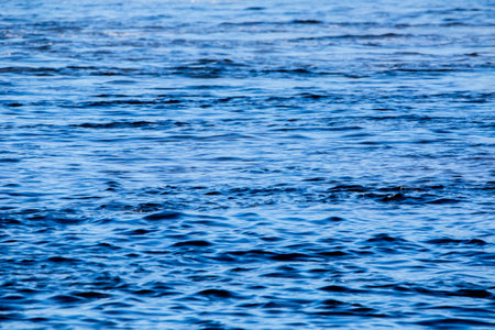 Blue water surface background. Water surface with ripples and waves.の写真素材